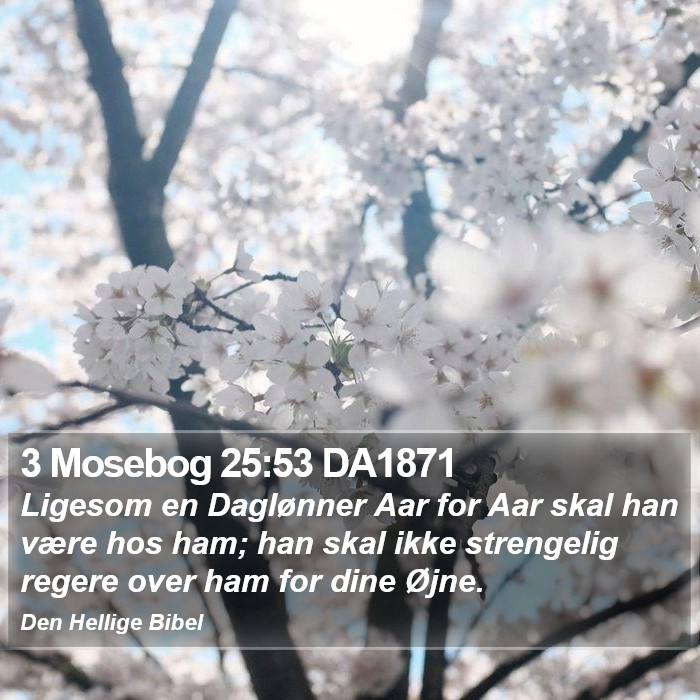 3 Mosebog 25:53 DA1871 Bible Study