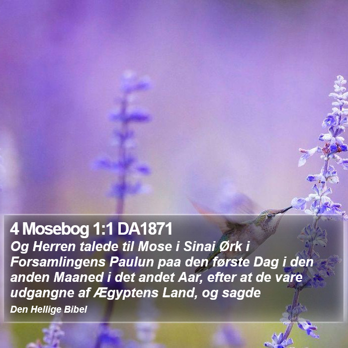 4 Mosebog 1:1 DA1871 Bible Study