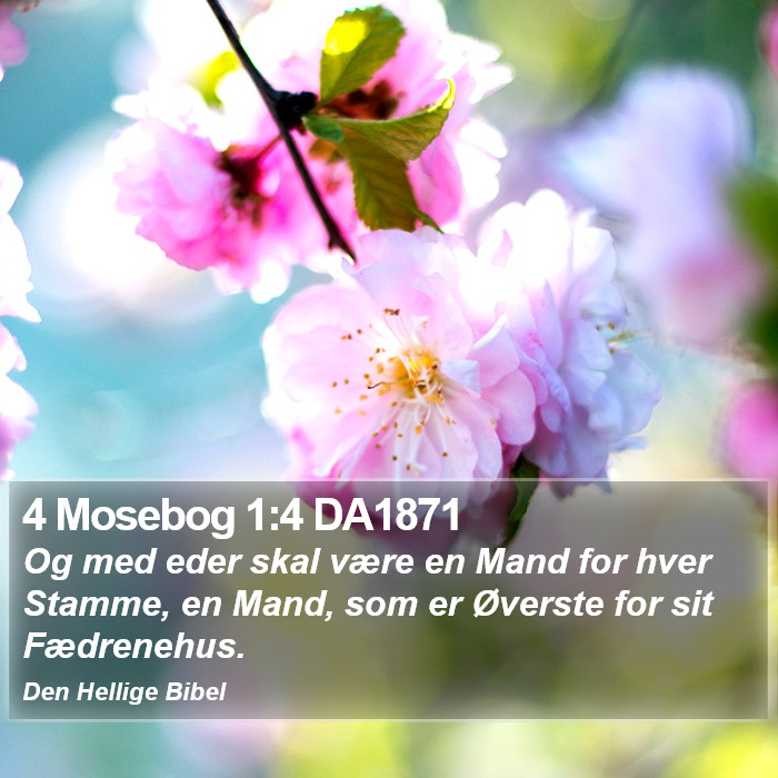 4 Mosebog 1:4 DA1871 Bible Study