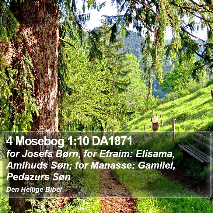 4 Mosebog 1:10 DA1871 Bible Study