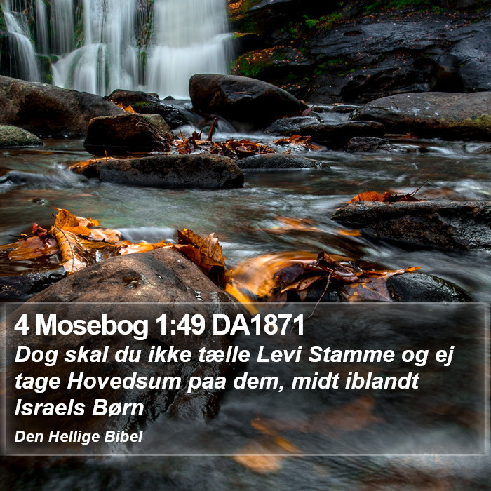 4 Mosebog 1:49 DA1871 Bible Study