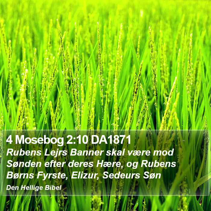 4 Mosebog 2:10 DA1871 Bible Study