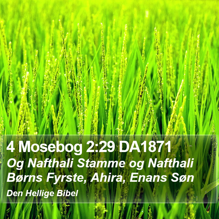 4 Mosebog 2:29 DA1871 Bible Study