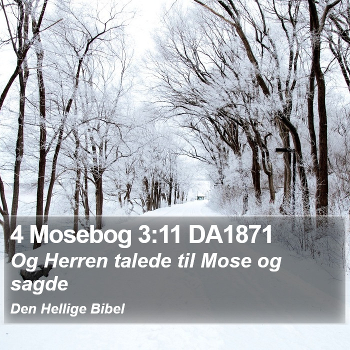 4 Mosebog 3:11 DA1871 Bible Study