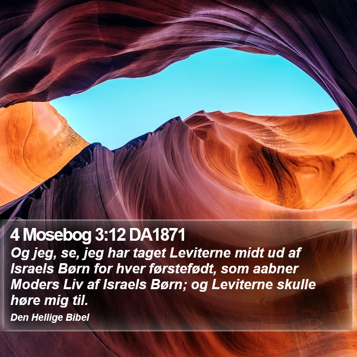 4 Mosebog 3:12 DA1871 Bible Study