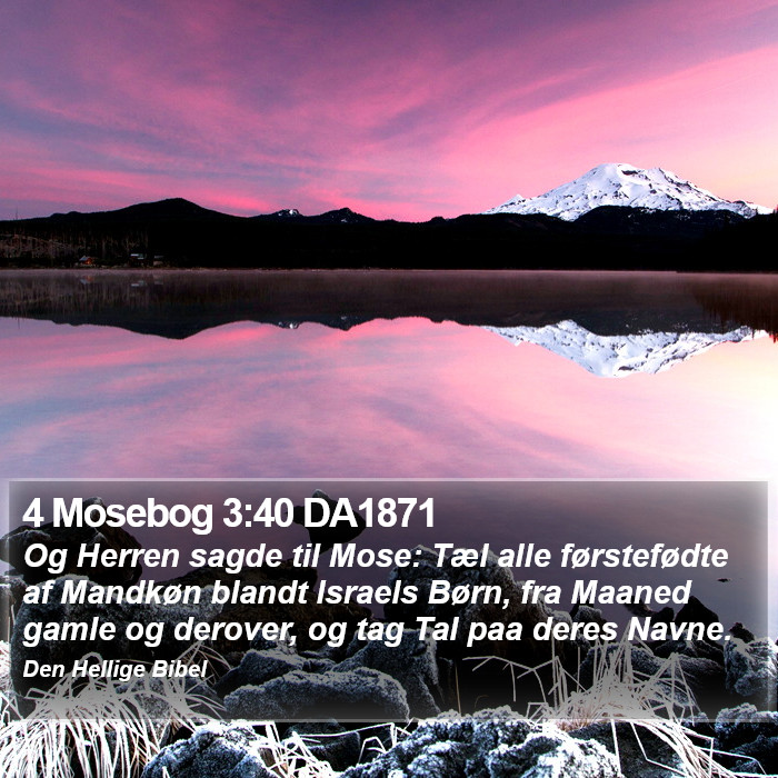 4 Mosebog 3:40 DA1871 Bible Study