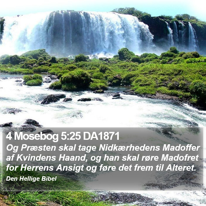 4 Mosebog 5:25 DA1871 Bible Study