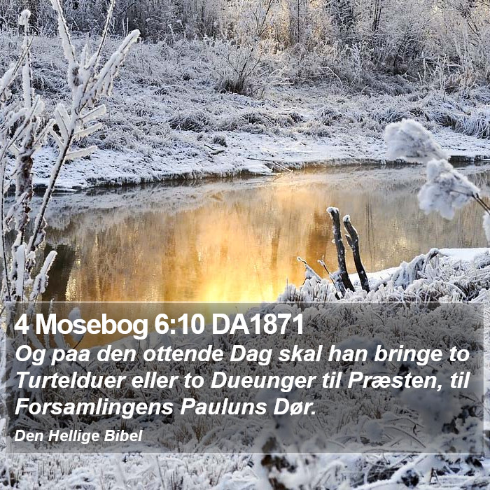 4 Mosebog 6:10 DA1871 Bible Study