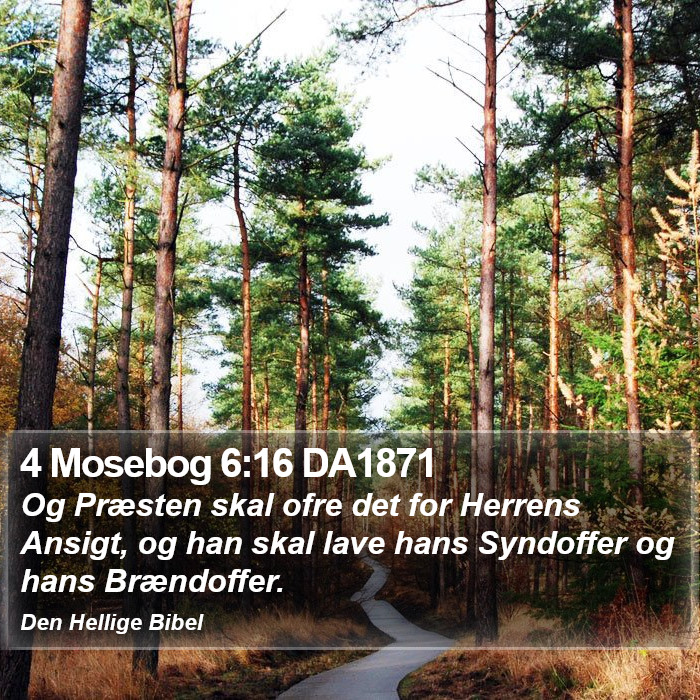 4 Mosebog 6:16 DA1871 Bible Study