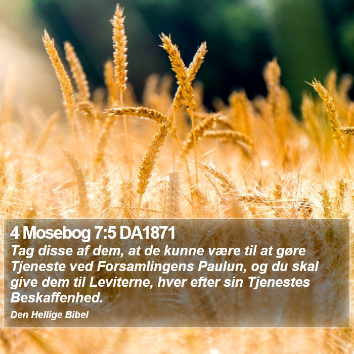 4 Mosebog 7:5 DA1871 Bible Study