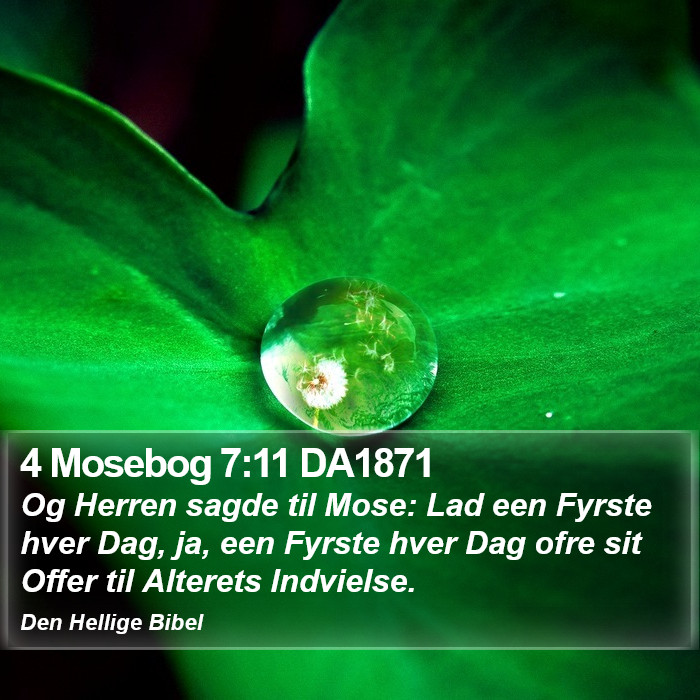 4 Mosebog 7:11 DA1871 Bible Study