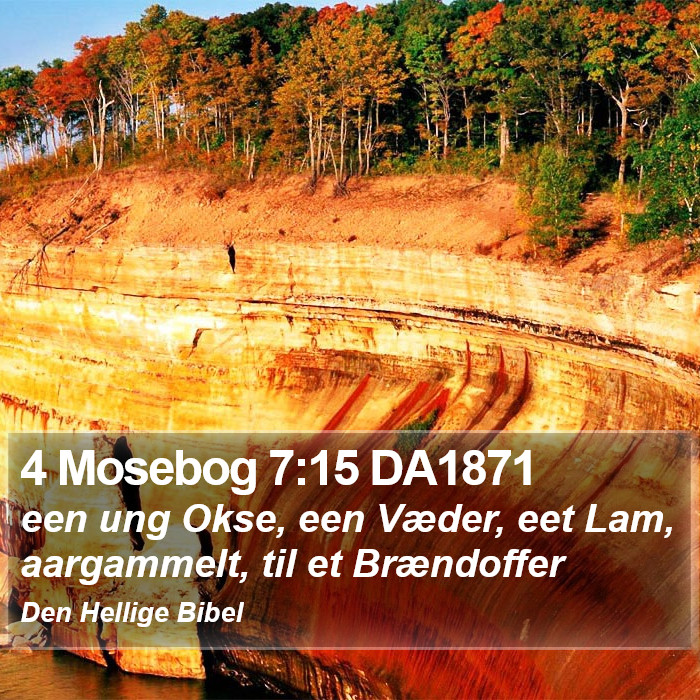 4 Mosebog 7:15 DA1871 Bible Study