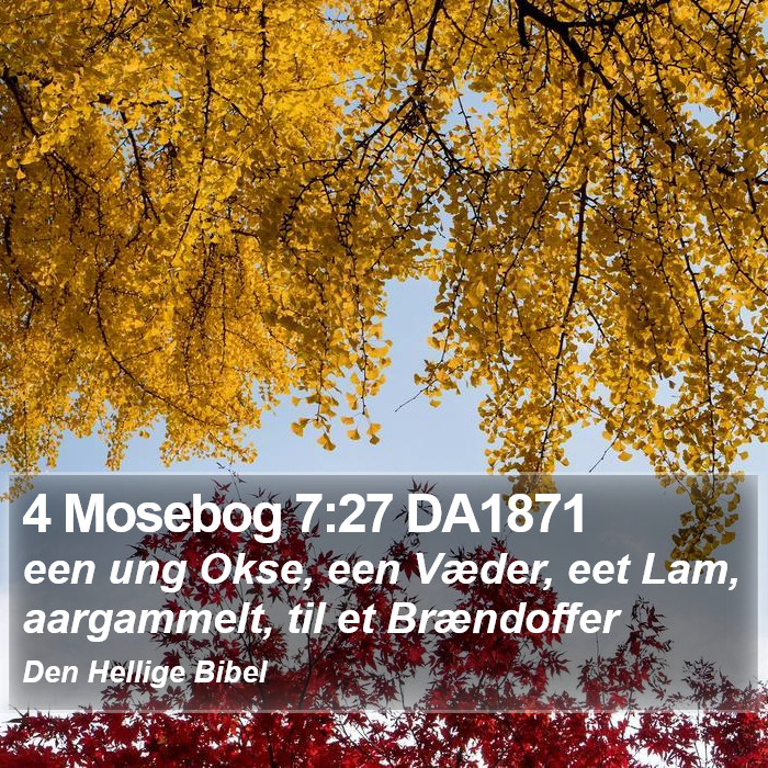 4 Mosebog 7:27 DA1871 Bible Study