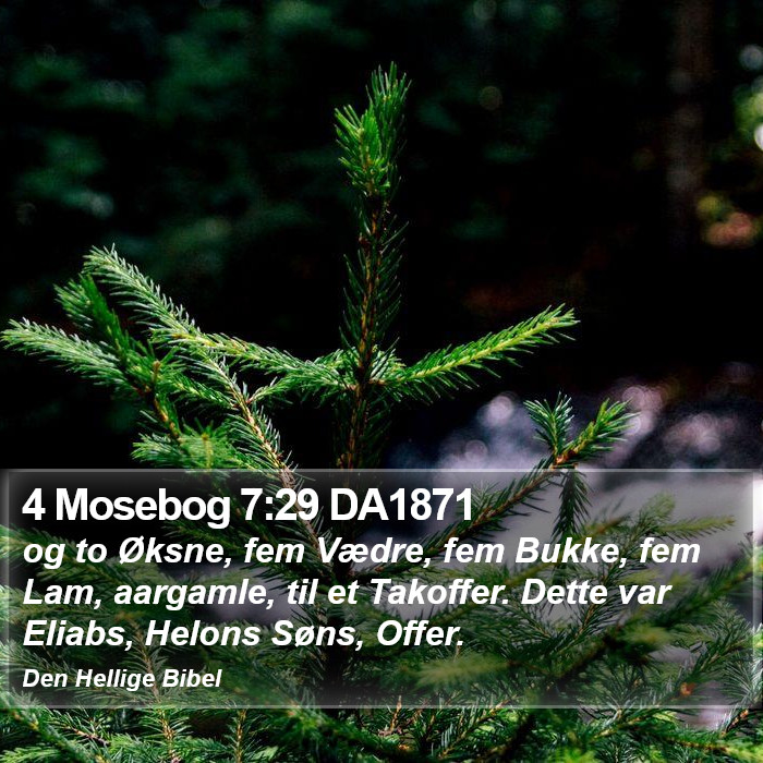 4 Mosebog 7:29 DA1871 Bible Study