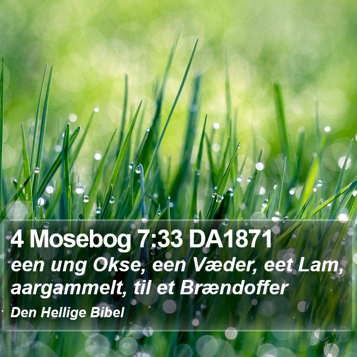 4 Mosebog 7:33 DA1871 Bible Study