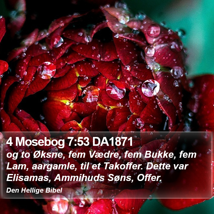 4 Mosebog 7:53 DA1871 Bible Study