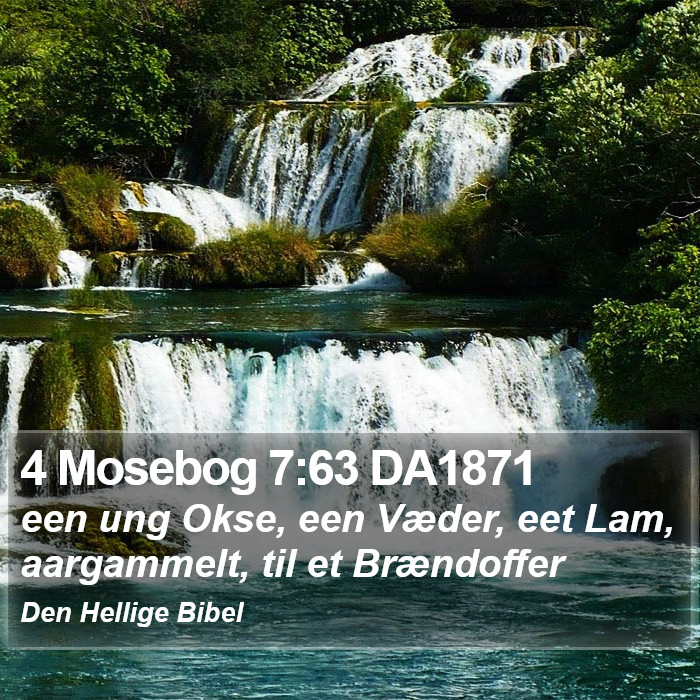 4 Mosebog 7:63 DA1871 Bible Study