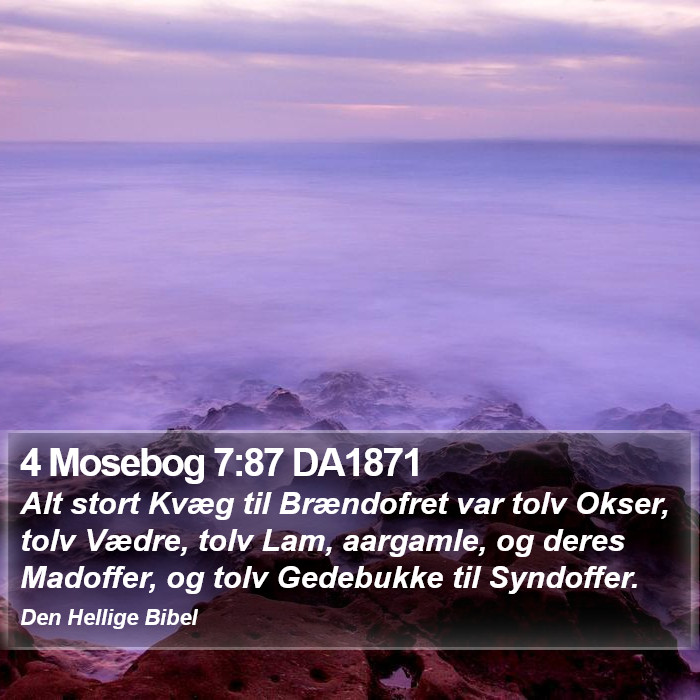 4 Mosebog 7:87 DA1871 Bible Study