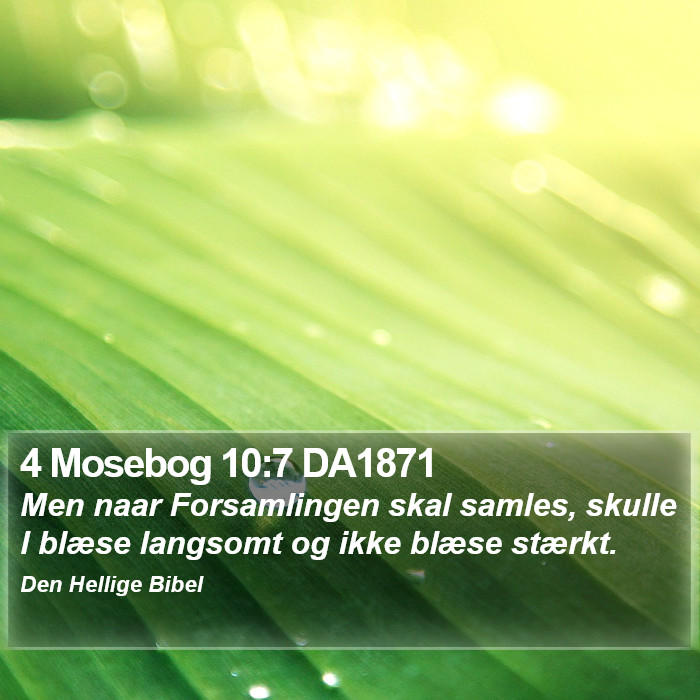 4 Mosebog 10:7 DA1871 Bible Study