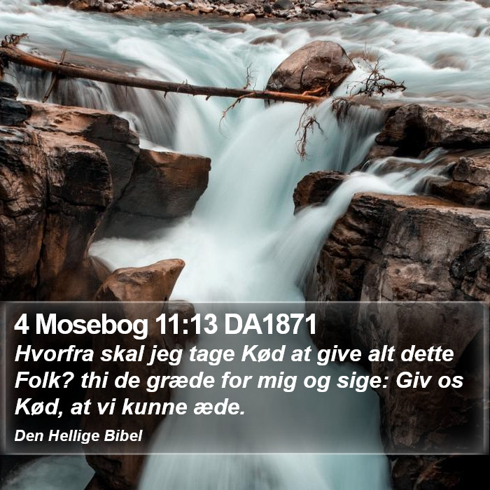 4 Mosebog 11:13 DA1871 Bible Study