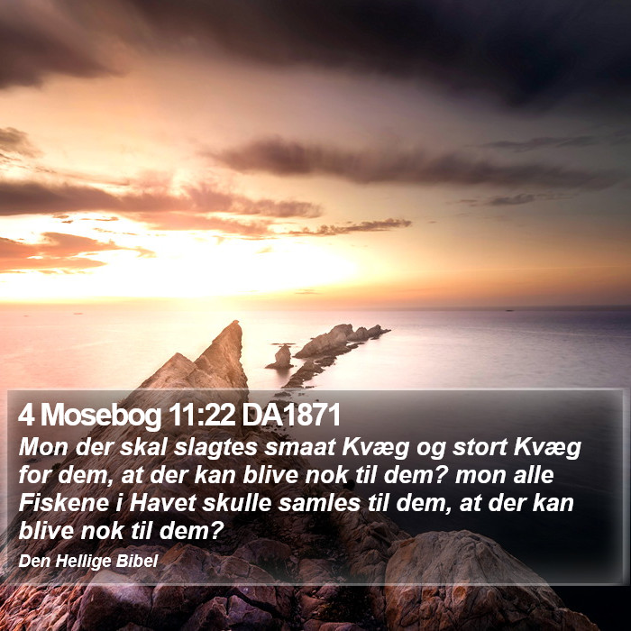 4 Mosebog 11:22 DA1871 Bible Study