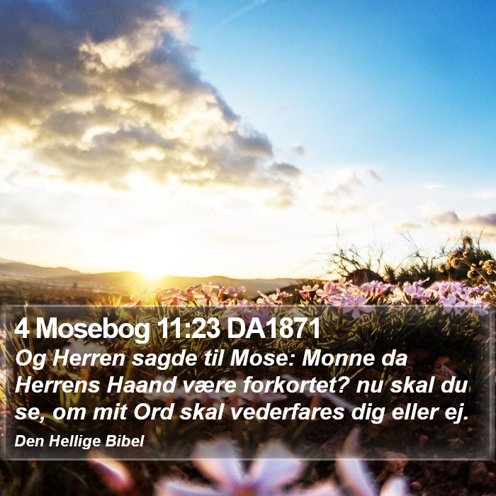 4 Mosebog 11:23 DA1871 Bible Study