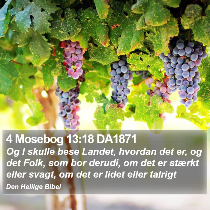 4 Mosebog 13:18 DA1871 Bible Study