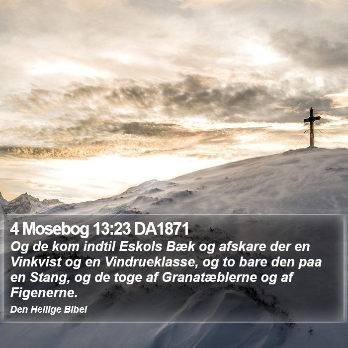 4 Mosebog 13:23 DA1871 Bible Study