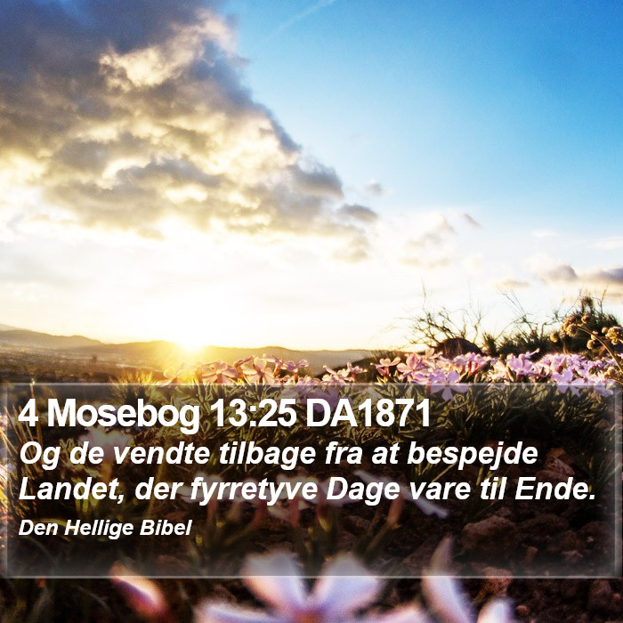 4 Mosebog 13:25 DA1871 Bible Study