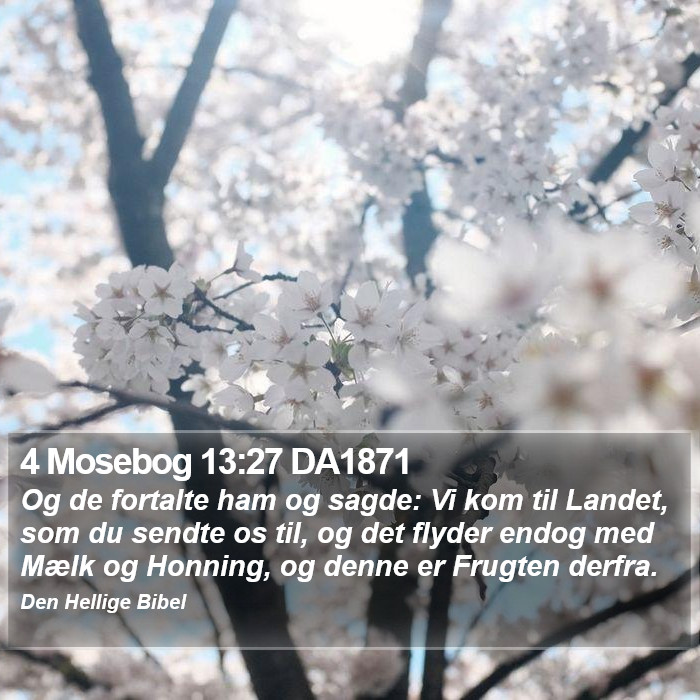 4 Mosebog 13:27 DA1871 Bible Study