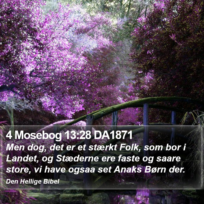 4 Mosebog 13:28 DA1871 Bible Study