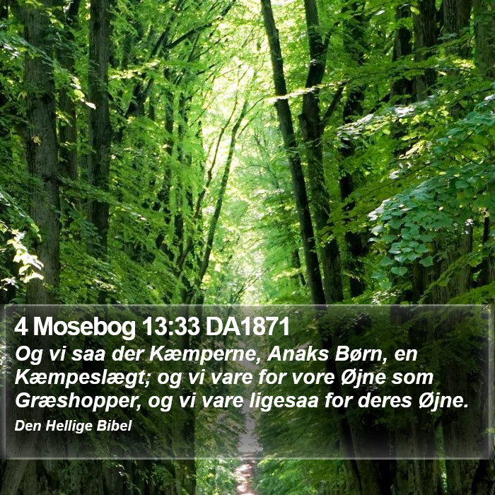 4 Mosebog 13:33 DA1871 Bible Study