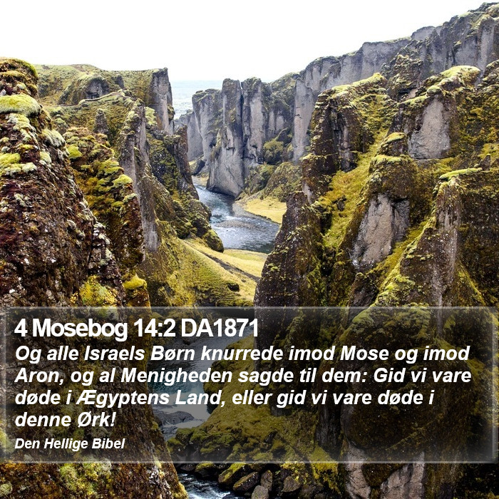 4 Mosebog 14:2 DA1871 Bible Study