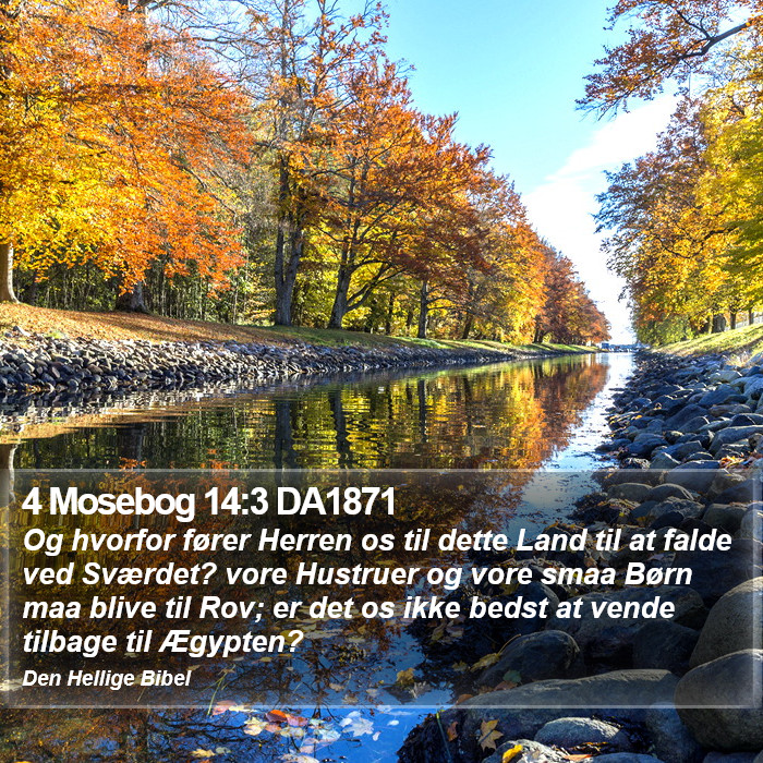 4 Mosebog 14:3 DA1871 Bible Study