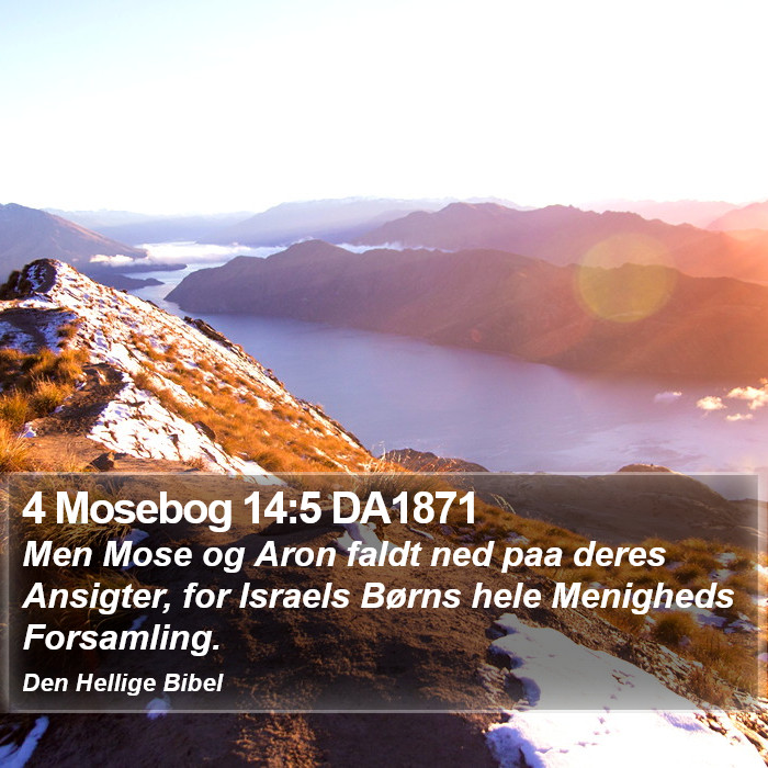 4 Mosebog 14:5 DA1871 Bible Study