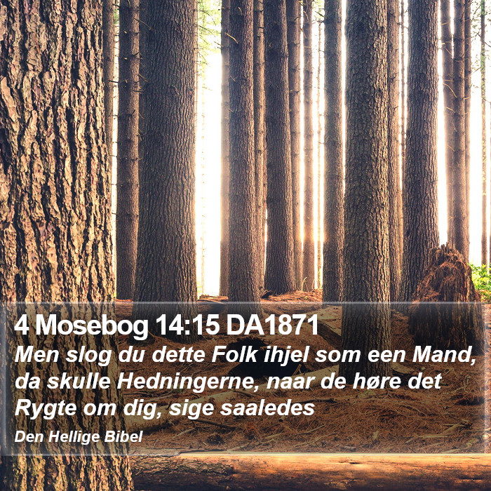 4 Mosebog 14:15 DA1871 Bible Study