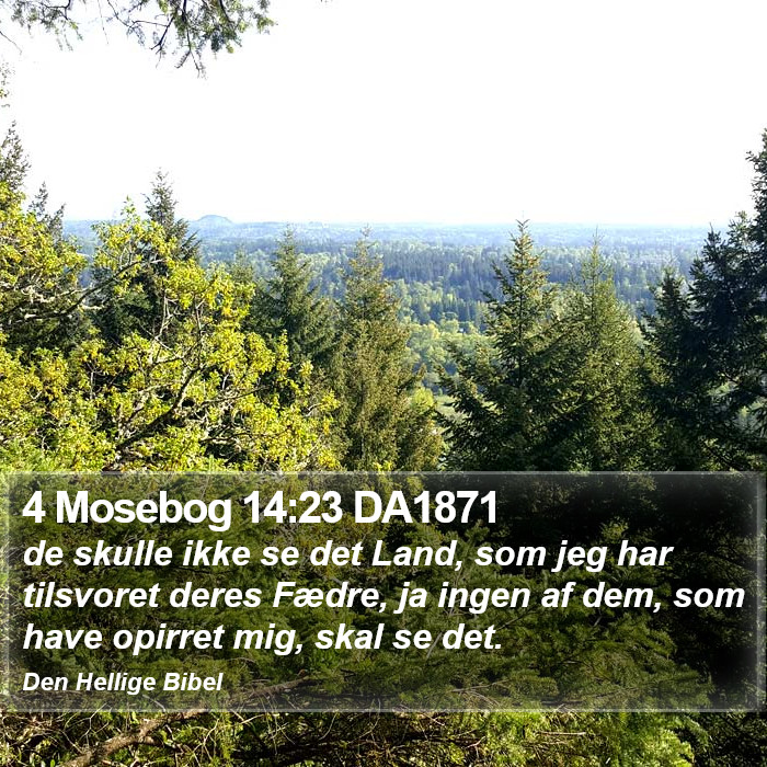 4 Mosebog 14:23 DA1871 Bible Study