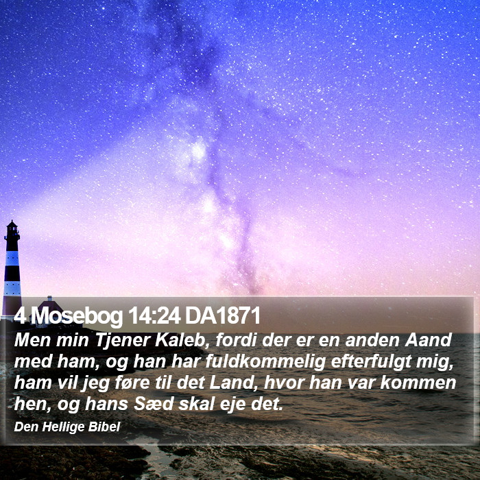 4 Mosebog 14:24 DA1871 Bible Study