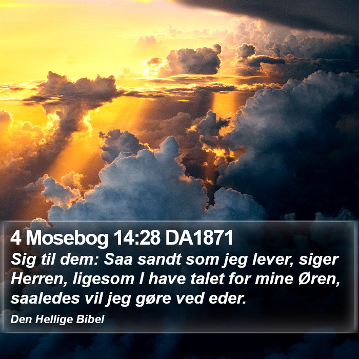 4 Mosebog 14:28 DA1871 Bible Study