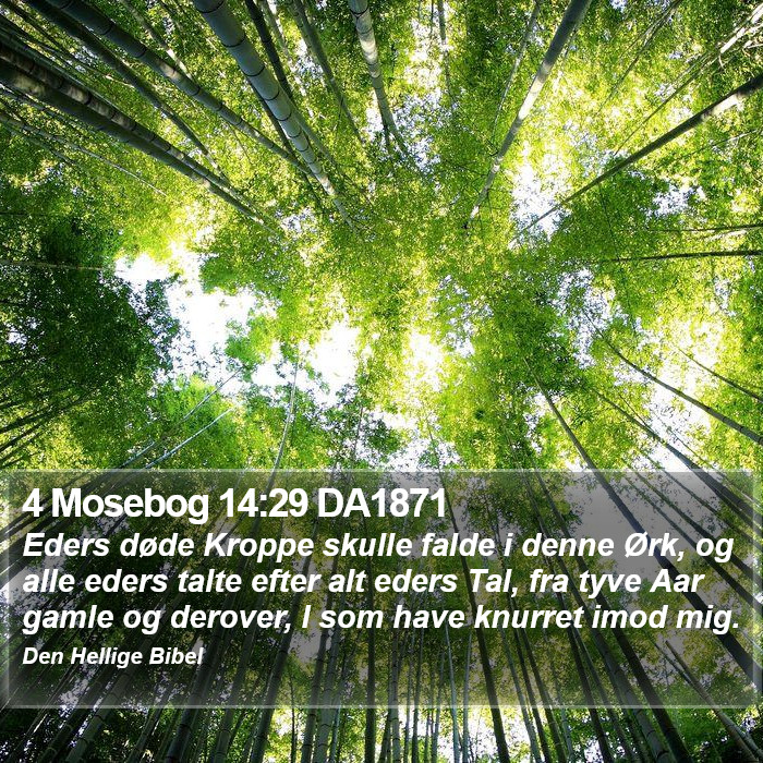 4 Mosebog 14:29 DA1871 Bible Study