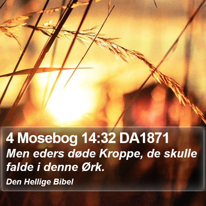 4 Mosebog 14:32 DA1871 Bible Study