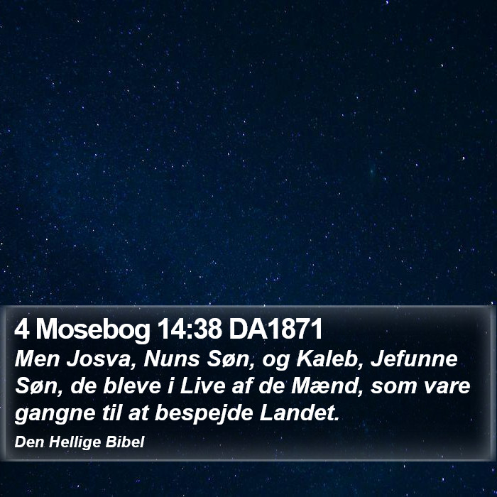 4 Mosebog 14:38 DA1871 Bible Study