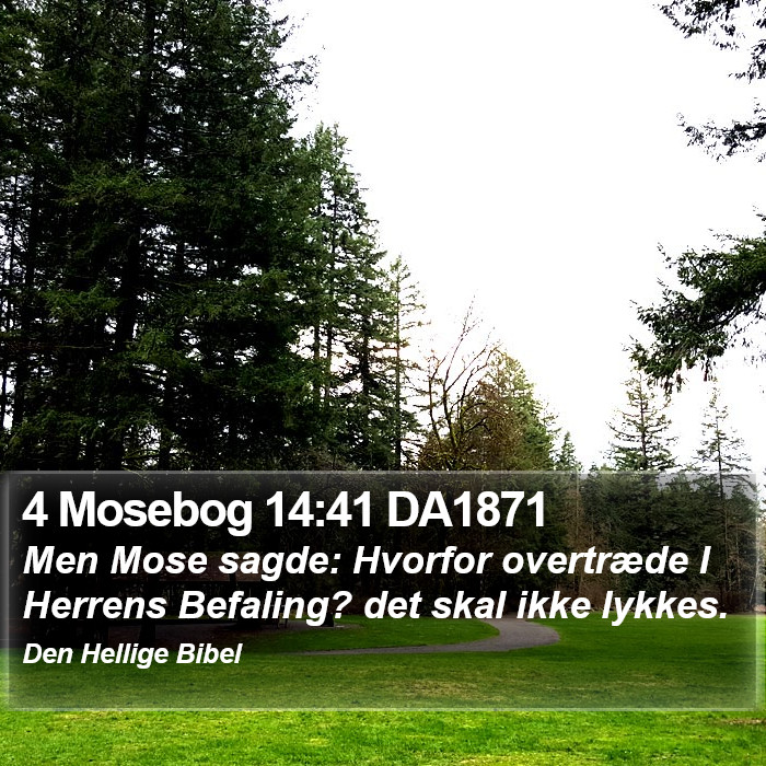 4 Mosebog 14:41 DA1871 Bible Study