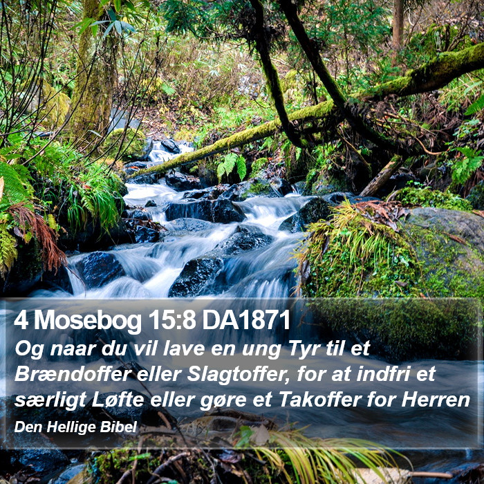 4 Mosebog 15:8 DA1871 Bible Study