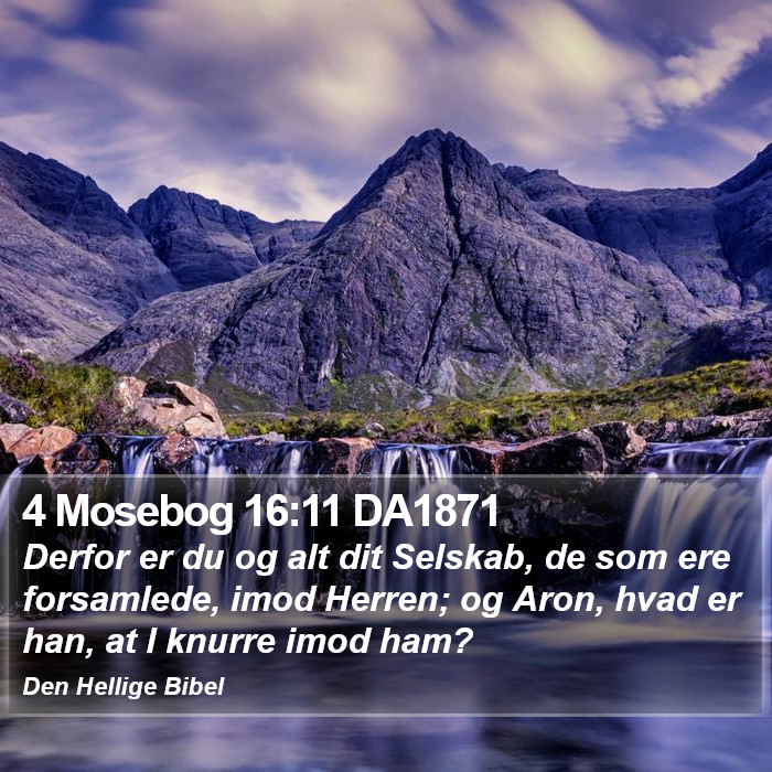 4 Mosebog 16:11 DA1871 Bible Study