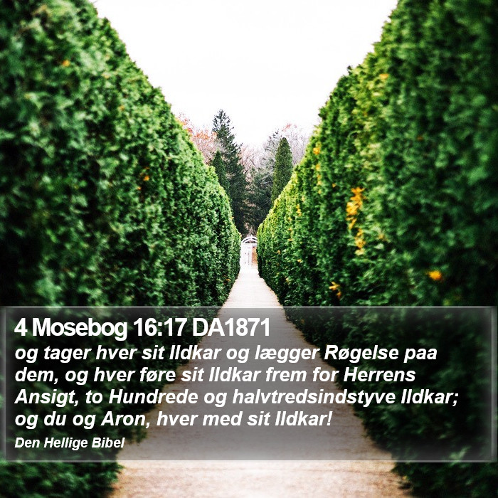 4 Mosebog 16:17 DA1871 Bible Study