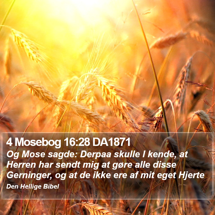 4 Mosebog 16:28 DA1871 Bible Study