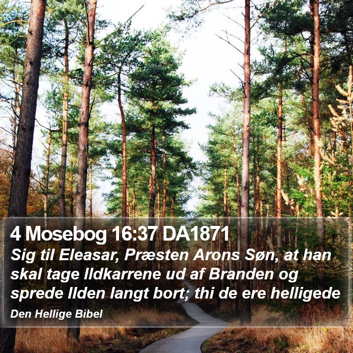 4 Mosebog 16:37 DA1871 Bible Study