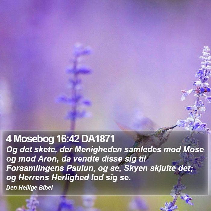 4 Mosebog 16:42 DA1871 Bible Study