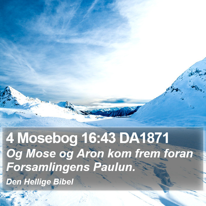 4 Mosebog 16:43 DA1871 Bible Study